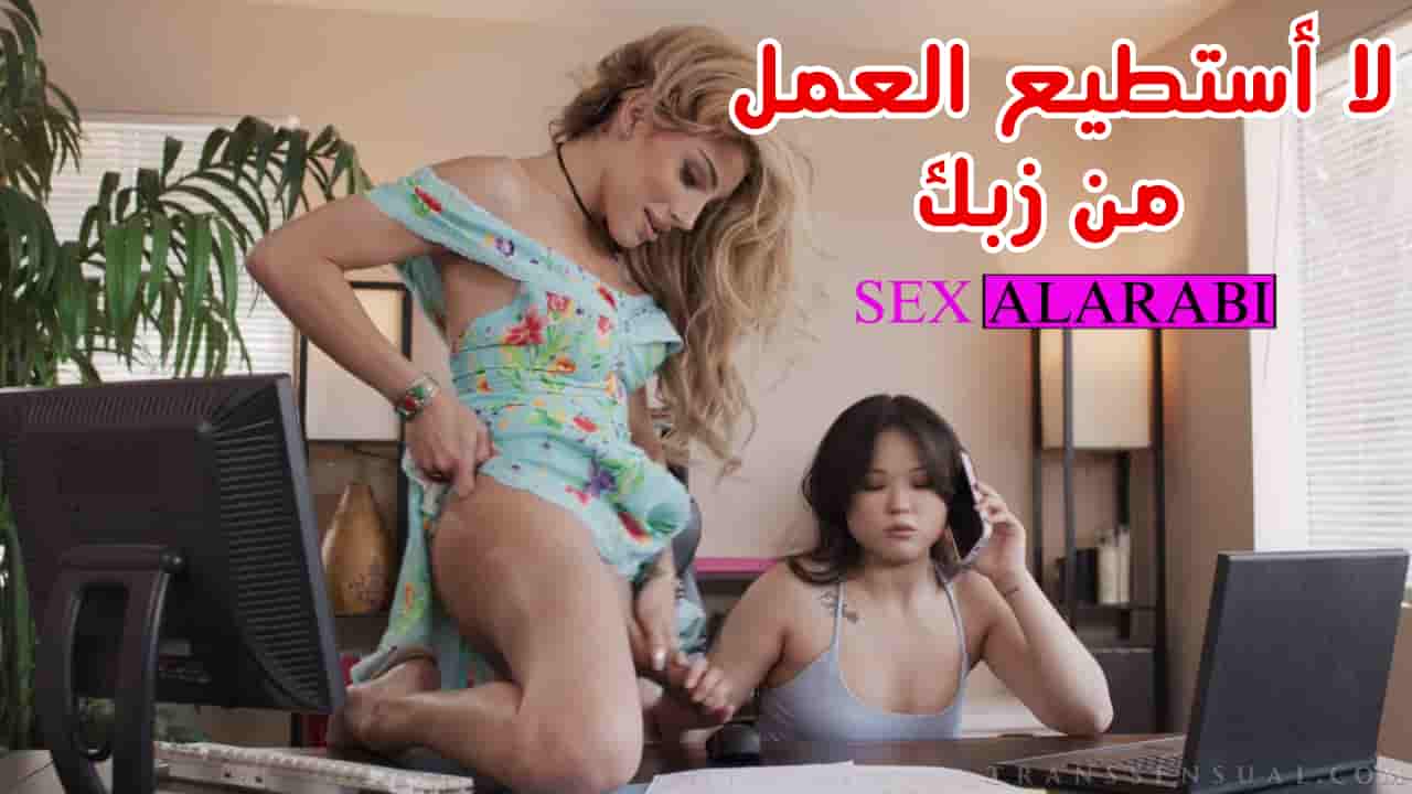لا استطيع العمل بسبب زب صديقي الشيميل – سكس مترجم – سكس شيميل